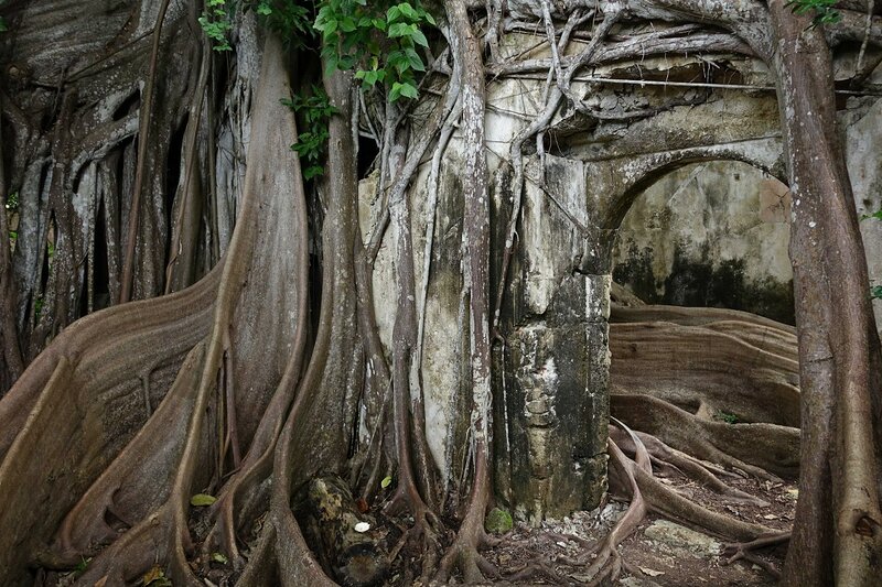 Ниночка, 42 года, 3 размер груди